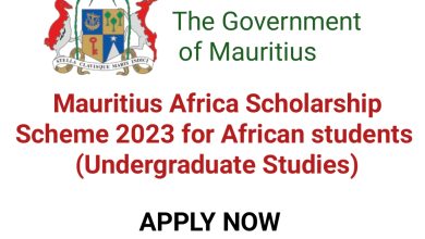 Mauritius Africa Scholarship Scheme 2023 for African students (Undergraduate Studies)