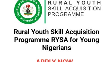 Rural Youth Skill Acquisition Programme RYSA for Young Nigerians