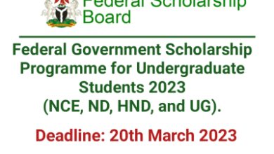 Federal Government Scholarship Programme for Undergraduate Students (NCE, ND, HND, and BSc). 