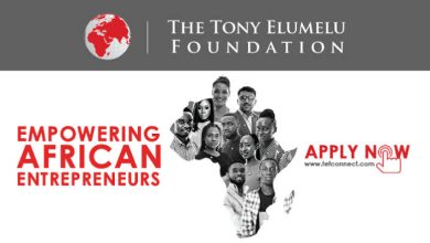 Tony Elumelu Foundation (TEF) Entrepreneurship Programme 2023